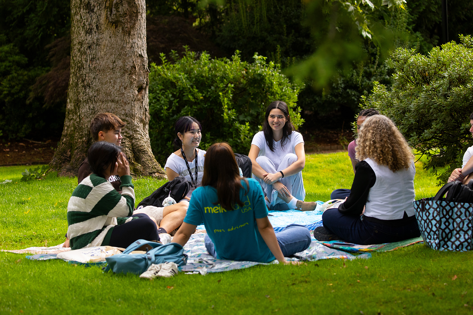 Students picnicking on the green